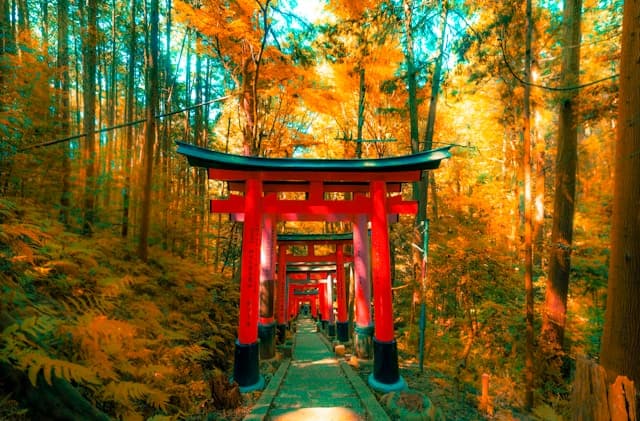 Fushimi Inari Taisha Kyoto: Ribuan Gerbang Torii, Tiket & Panduan Lengkap